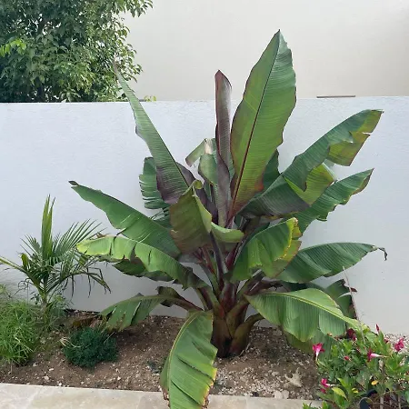 Maison Lilomel ساناري سور مير